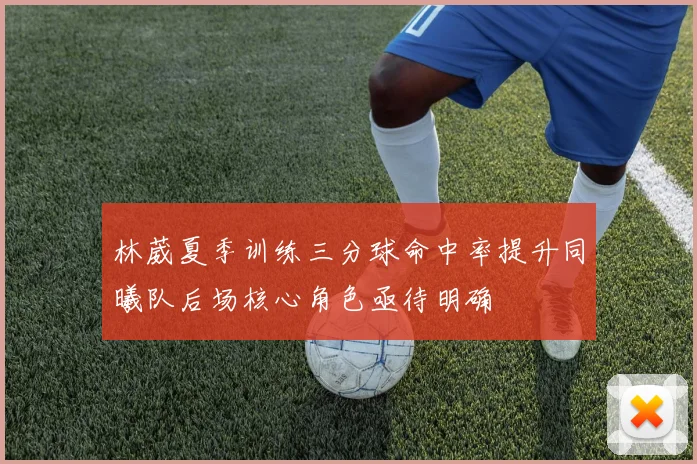 林葳夏季训练三分球命中率提升同曦队后场核心角色亟待明确